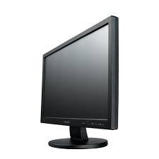 Monitor de 19"